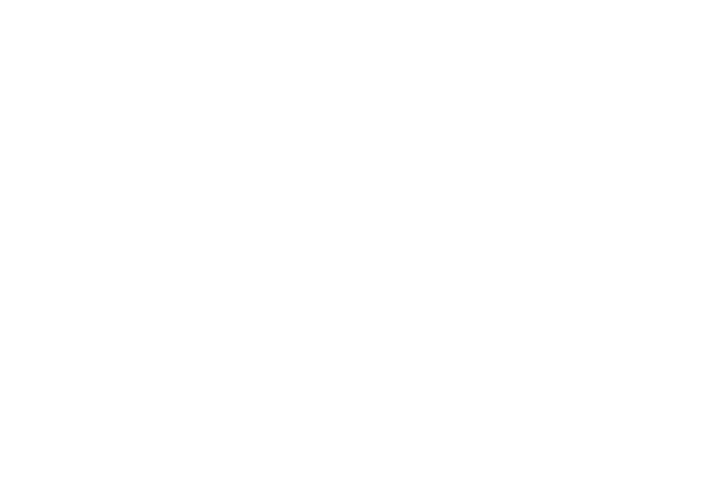 Chimnutz logo