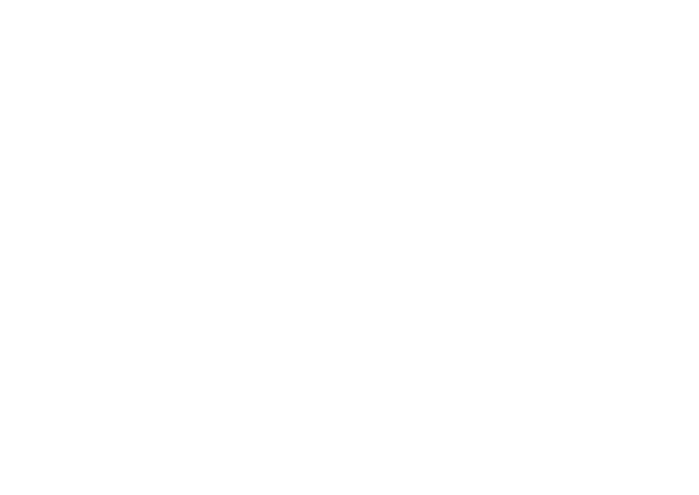 FRIDM logo