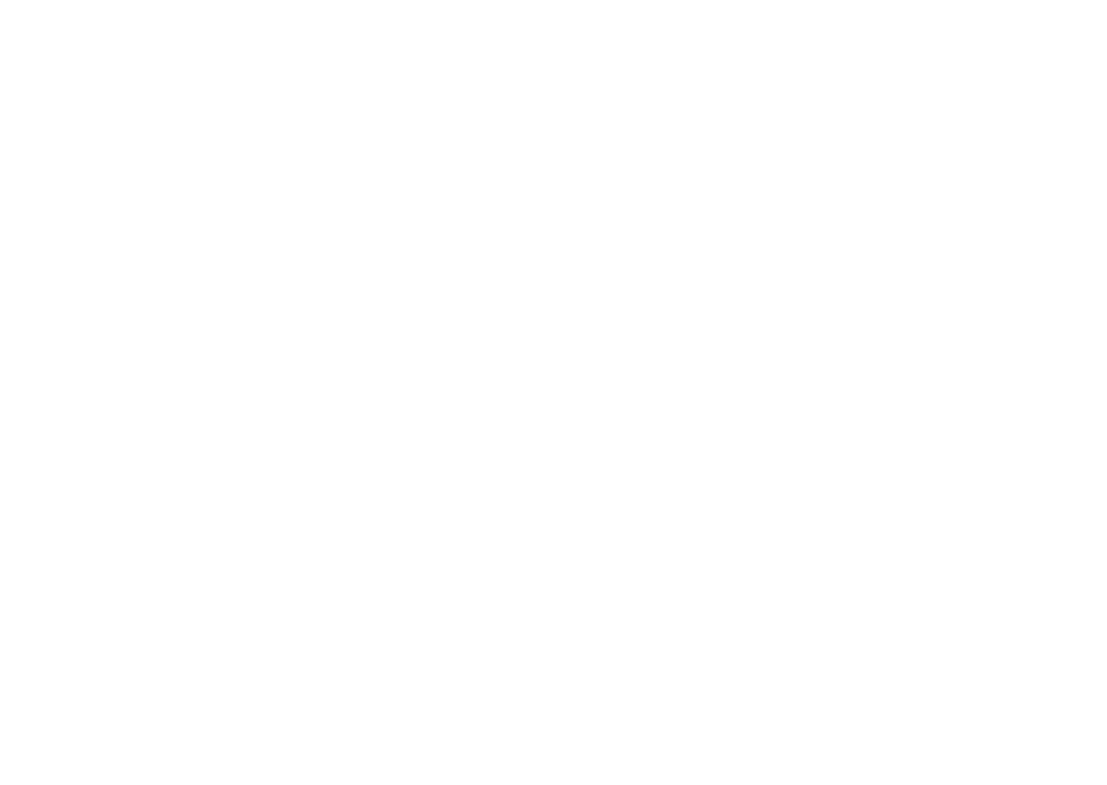 The local 165